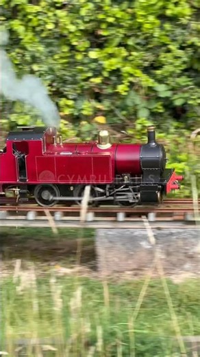 THE POWER OF A MINIATURE STEAM TRAIN! ⚙️ #MiniatureRailway #SteamTrain #ModelEngineering #Locomotive