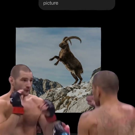 alex pereira - FUNK CRIMINAL -#ufc#mmafight#mma #mmaknockout#goat#edit #knockout#poatan