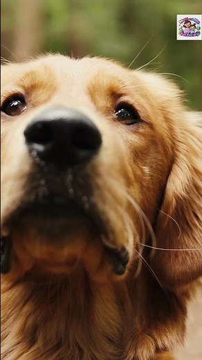 50 Three-Letter Words for Kids in 30 Seconds | Mom and Me Fun Factory