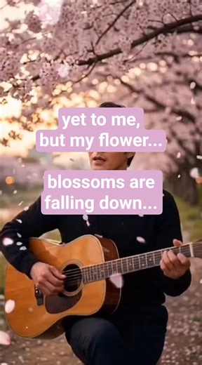 The perfect soundtrack for a falling cherry blossom 🌸🎶