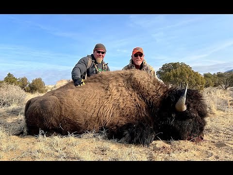 Rich's guided bison hunt on the Henry Mountains