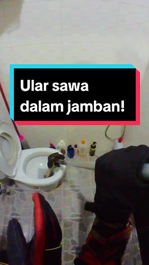 Rafael (@rafael.pbs)’s videos with Comedy Scenes - Comical, stupid, silly, loose, comical, farce(1295330) - Ponetto