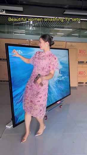 Woman Smashes TV - Hilarious Compilation