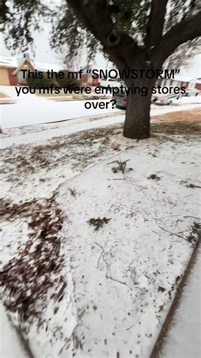 Texas Snowstorm Reactions and Rare Winter Weather