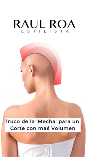 El truco de la 'Mecha Guía ' para un Corte con más Volumen #cortedepelo #cortes #cortemoderno #cabellocorto | RAUL ROA ESTILISTA