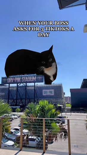 You gotta do what you gotta do 🤷‍♂️ #InterMiamiCF #DRVPNKStadium #Gameday #Soccer #soccertiktok #Stadium #golazo #team #LaNoche #MLS #LaFamiliaIMCF #Teamwork #goals