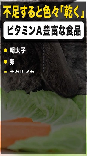 【不足すると乾く】ビタミンAが豊富な食品一覧 #shorts