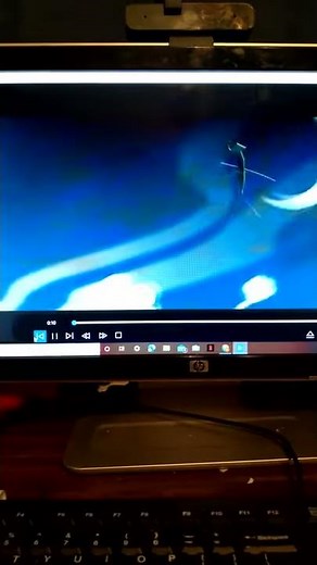 DreamWorks Animation SKG (Kung Fu Panda Variort)