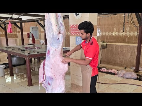 Amazing Step-by-Step Camel cutting by professional Butcher's skills😱🔪
