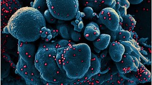 ”Long COVID”: 5 simptome care indică boala și după negativare