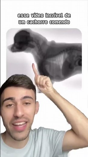 Os melhores vídeos que encontrei na internet: