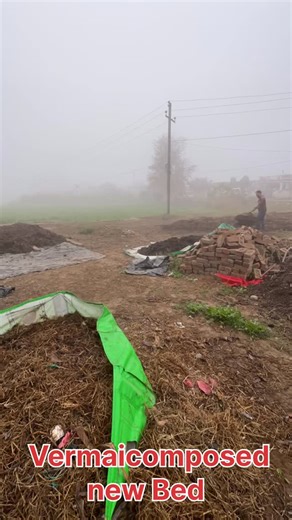 Sahil Thakur on Instagram: "New Vermicompost bed #vermicompost #biseness #class"