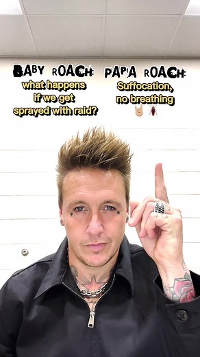 What Happens If We Get Sprayed With Raid?