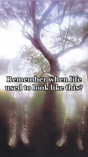 [liminal bot] | *bird noises* 🕊 • 📸: realnostalgia (TikTok) • #liminalspace #liminalspaces #liminal #liminalcore #silenthill #liminality #weirdcore... | Instagram