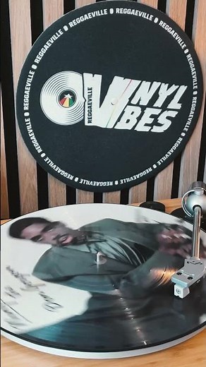 Ninjaman - De Man Good [Reggaeville Vinyl Vibes #24]