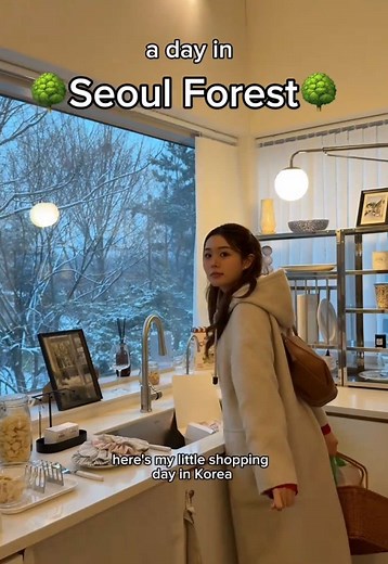 Shopping Day in Seoul Forest: Affordable Finds