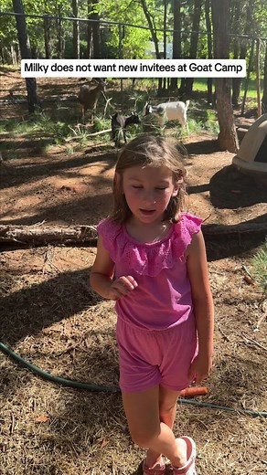 She brushed that off like a champ 🐐 #afv #goats #funny | Goat