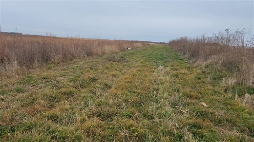 23 reactions | Brent Allen Grosse on Reels | Facebook