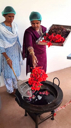 1.1M views · 10K reactions | சொட்டைத் தலையில் முடி வளரும் | Vino Vlogs 9677938736 JFS Hair oil #trendingreels #explorepage #erode #hairoil #shampoo #HairFall | Vino Vlogs Channel | Facebook