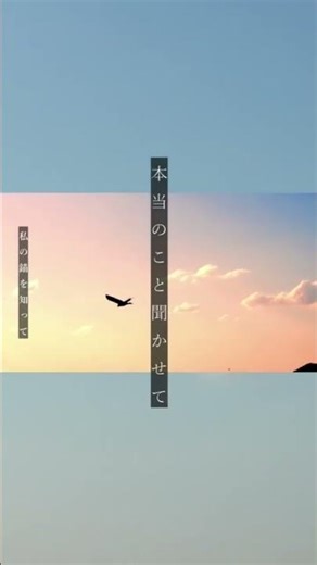 「櫂」ヨルシカstory By未明。-波を打つ、何思う。