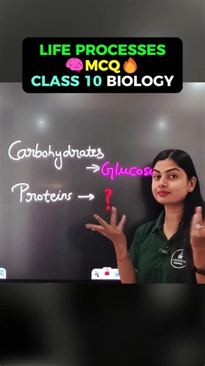Life Processes MCQs for Board Exam | Class 10 Biology #class10 #class10science #shorts