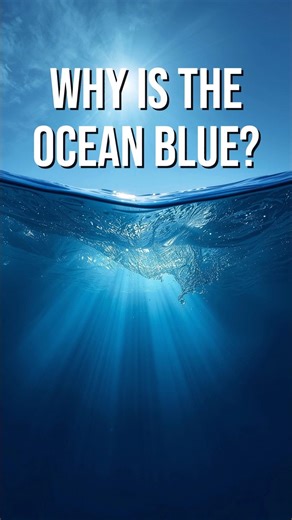 Why the Ocean Looks Blue? 🤔