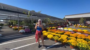 2.7K views · 44 reactions | Beautiful mums, big ole pumpkins, corn stalks, pansies in so many colors and even a photo op area. Let’s do Fall y’all!! | Valley Growers Garden Center - Murfreesboro/Lascassas | Facebook