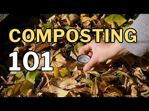 COMPOSTING 101: Turn Kitchen Scraps into Garden Gold
