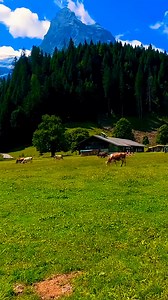 Beautifu nature in Switzerand | Mini Screen