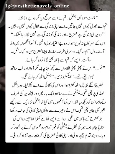 کبھی کبھی انسان خود کو ہی کھو دیتا ہے۔ نہ چہرہ باقی رہتا ہے نہ پہچان۔ صرف ایک سوال رہ جاتا ہے۔ میں کون ہوں؟ ماہیت ایک ایسی داستان ہے جو بظاہر کامیاب، مضبوط، اور مکمل دکھنے والے کرداروں کے اندر چھپی اُس سچائی کی پرتیں کھولتی ہے جو دنیا کی نظر سے اوجھل ہے۔ یہ کہانی ہے اُن لوگوں کی جو زندگی کی دوڑ میں اپنے اصل وجود کو پیچھے چھوڑ آئے ہیں۔ جو دکھتے کچھ اور ہیں مگر اندر سے ٹوٹے اور بکھرے ہوئے ہیں۔ یہ ناول سچ اور جھوٹ کے درمیان جھولتے ضمیر، ذات کی تلاش، اور روح کی پکار پر مبنی ایک ایسا سفر ہے جو ہر انس