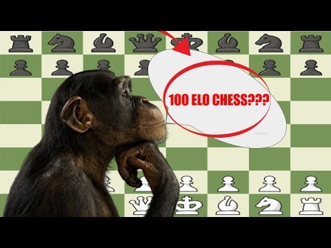 What is the 100 ELO Experience???