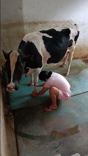 Apni Apni Antar Drishti Se – Ravindra Jain, Hindi Song .