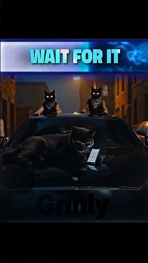 Dogs VS Cats 💀🔥