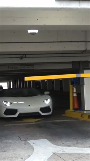 37K views · 307 reactions | Picking Up Uber Riders In A Lamborghini! | Coby Persin | Facebook