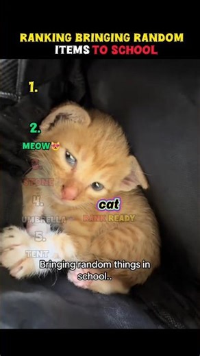 Ranking students bringing random things to school.