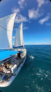 The best days are ahead ⛵️🇧🇸 ⚓️ABOUT US⚓️ The Sailing Academy is an ASA sailing school for those who want to learn to sail, cultivate sailing skills, or begin a lifelong sailing adventure. We teach on premium yachts perfect for every skill level: whether it is at our home base on the Chesapeake Bay, on an offshore experience, or for a family sailing vacation cruising the Bahamas. Your adventure starts here! Learn how to sail a sailboat, get your ASA certifications, and join our Sailboat Club f