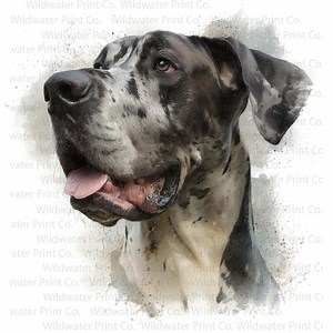Great Dane Watercolor Clip Art – Realistic Great Dane Dog PNG – Gentle Giant Portrait – Digital Download - Etsy