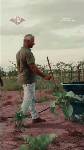 "Mais de 15 famílias foram expulsas..." | MST: Terra Prometida