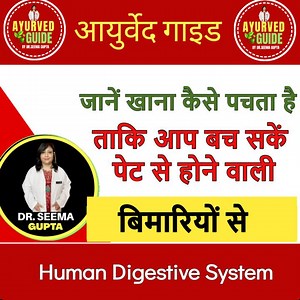 22K views · 249 reactions | Human Digestive System - जानें खाना कैसे पचता है ताकि आप बच सकें पेट से होने वाली बिमारियों से #humandigestivesystem #digestivesystem #digestivesystemhealth #digestion #digestion #digestión #digestionsupport | Ayurved Guide | Facebook