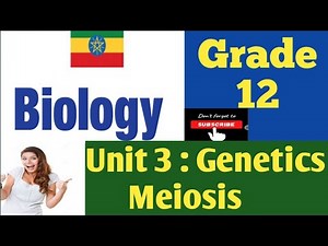 Ethiopian-Grade 12 Biology: Chapter 3 Genetics (Part 2- Meiosis)