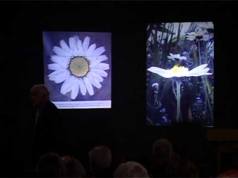 Hidden Geometry of Flowers.mov