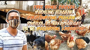 1.3M views · 32K reactions | FREE RANGE CHICKEN: Madaling Alagaan, Masustansyang Pagkain ng Pamilya, at Nakapagbigay pa ng Magandang Kabuhayan! | Atovi Nanotechnology | Facebook