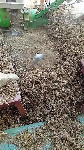 Efficient Plant Material Processing with a Mulcher