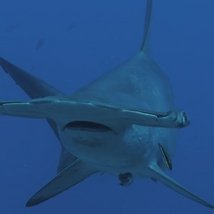 59K views · 3.4K reactions | Watch as we pull back the curtain on the...