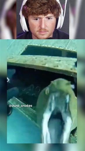 Just a nice scenic underwater video..