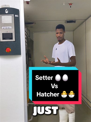 The difference between a setter and a hatcher. #Hatchery #Incubator #Poultry #foryou