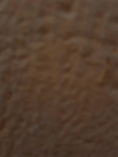 #مجرد_ذووقツ🖤🎼 #البـلجيكـيٕٕٓ #شعراء_وذواقين_الشعر_الشعبي🎸 #تصويري_احترافي_الاجواء👌🏻🕊😴