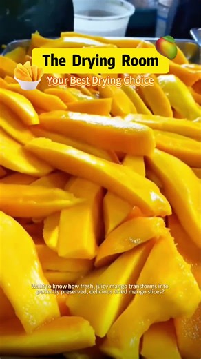 Mango Drying Room for Effective Food Preservation