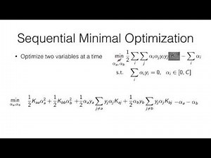12 SMO and Stochastic SVM