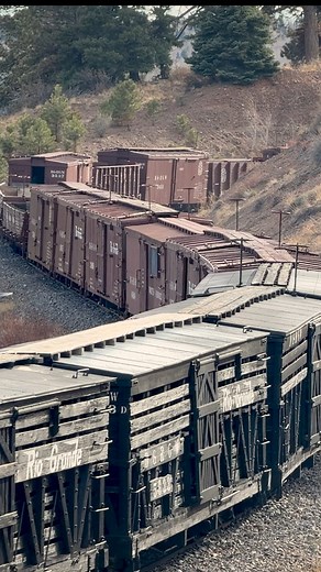 Cumbres and Toltec Scenic Railroad locomotive 487 pulls a S Curve as it heads for Antonito, Colorado on October 26th, 2025. | Jim Pearson Photography